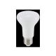 Rabalux LED sijalice SMD-LED W bela (79113) - SIJ000251A00000