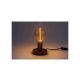 Rabalux LED vlakna Filament-LED W bršljan (79077) - SIJ000226A00000