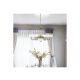 Rabalux Luster Marlene E14 6x MAX 40 + E27 2x MAX 60W bronzana (8546) - 8546