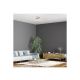 Rabalux Plafonjera Ashton LED 24W brušeni hrom (6590) - 6590-1