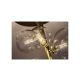 Rabalux Plafonjera Aslov G9 6x MAX 28W zlatna (71298) - RAS002924A00000
