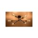 Rabalux Plafonjera Branwen E27 6x MAX 25W mat crno (71026) - 71026-1