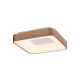 Rabalux Plafonjera Carmella LED 30W zlatna (5056) - 5056