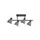 Rabalux Plafonjera Farelia E14 4X MAX 10W crna (73010) - RAS003229A00000