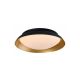 Rabalux Plafonjera Hafsa LED 24W crno zlato (71187) - RAS002461A00000