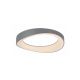 Rabalux Plafonjera Iliana LED 56W srebrna (71054) - RAS002567A00000