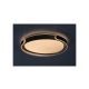 Rabalux Plafonjera Jindri LED 48W crno zlato (71292) - RAS003112A00000
