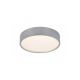 Rabalux Plafonjera Larcia LED 18W srebrna (75010) - 75010-1