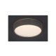 Rabalux Plafonjera Larcia LED 18W srebrna (75010) - 75010-1