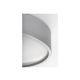 Rabalux Plafonjera Larcia LED 18W srebrna (75010) - 75010-1