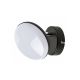 Rabalux Plafonjera Madi LED 4W mat crno (71062) - RAS002636A00000