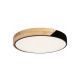 Rabalux Plafonjera Maple LED 24W mat crno (3528) - 3528