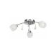 Rabalux Plafonjera Melissa E14 3x MAX 60W hrom (2621) - 2621