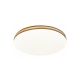Rabalux Plafonjera Oscar2 LED 18W bela (71173) - RAS002743A00000