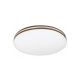 Rabalux Plafonjera Oscar2 LED 18W bela (71173) - RAS002743A00000