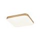 Rabalux Plafonjera Oscar2 LED 18W bela (71174) - RAS002811A00000