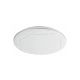Rabalux Plafonjera Oswald2 LED 24W srebrna (71053) - RAS002744A00000