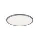 Rabalux Plafonjera Rasmus LED 22W srebrna (2290) - 2290-1-1