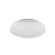 Rabalux Plafonjera Rob LED 20W bela (5435) - 5435