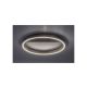 Rabalux Plafonjera Thrac LED 20W brušeni aluminijum (71311) - RAS002931A00000