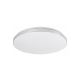 Rabalux Plafonjera Toma LED 30W hrom (3875) - 3875