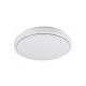 Rabalux Plafonjera Trevor2 LED 12W bela (71181) - RAS002558A00000