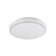 Rabalux Plafonjera Trevor2 LED 24W bela (71183) - RAS002670A00000