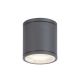 Rabalux Spoljna plafonska rasveta Akron GU10 1x MAX 35W antracit siva (8150) - 8150