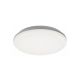 Rabalux Spoljna plafonska rasveta Eric LED 24W bela (7979) - 7979-1