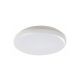 Rabalux Spoljna plafonska rasveta Eric LED 24W bela (7979) - 7979-1