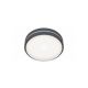 Rabalux Spoljna plafonska rasveta Hamburg LED 10W antracit siva (8847) - 8847