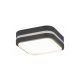 Rabalux Spoljna plafonska rasveta Hamburg LED 10W antracit siva (8849) - 8849