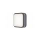 Rabalux Spoljna plafonska rasveta Hamburg LED 10W antracit siva (8849) - 8849