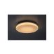 Rabalux Spoljna plafonska rasveta Lowar LED 12W bela (77133) - RAS003044A00000