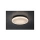 Rabalux Spoljna plafonska rasveta Lowar LED 12W bela (77133) - RAS003044A00000