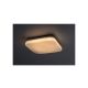 Rabalux Spoljna plafonska rasveta Lowar LED 12W bela (77134) - RAS003045A00000