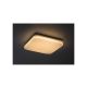 Rabalux Spoljna plafonska rasveta Lowar LED 18W bela (77137) - RAS003048A00000