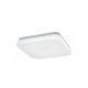 Rabalux Spoljna plafonska rasveta Lowar LED 18W bela (77138) - RAS003049A00000