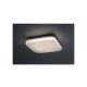 Rabalux Spoljna plafonska rasveta Lowar LED 18W bela (77138) - RAS003049A00000