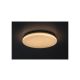 Rabalux Spoljna plafonska rasveta Lowar LED 24W bela (77139) - RAS003050A00000