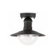 Rabalux Spoljna plafonska rasveta Oslo E27 1x MAX 60W crna (8716) - 8716