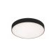Rabalux Spoljna plafonska rasveta Tartu LED 18W mat crno (7897) - 7897