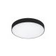 Rabalux Spoljna plafonska rasveta Tartu LED 24W mat crno (7898) - 7898
