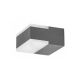 Rabalux Spoljna zidna rasveta Bona LED 2x 45W antracit siva (8060) - 8060