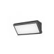 Rabalux Spoljna zidna rasveta Rapla LED 12W crna (7282) - 7282