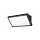 Rabalux Spoljna zidna rasveta Rapla2 LED 18W crna (77150) - RAS003061A00000