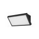 Rabalux Spoljna zidna rasveta Rapla2 LED 18W crna (77150) - RAS003061A00000