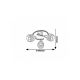 Rabalux Spot rasveta Basil E14 3X MAX 10W brušeni hrom (5381) - 5381