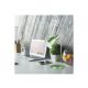 Rabalux Stona lampa Patric E14 1x MAX 40W zelena (4208) - 4208