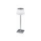 Rabalux Stona lampa Taena LED 4W srebrna (76013) - 76013